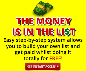 FREE Online Video Workshop How to Make Money with a List